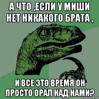 а что ,если у миши нет никакого брата , и все это время он просто орал над нами?