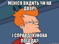 меніся видить чи на дворі і справді хуйова погода?