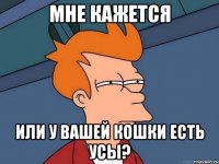 мне кажется или у вашей кошки есть усы?