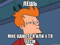 лёшь мне кажется или у тя 21см