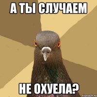 а ты случаем не охуела?