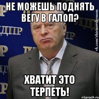 не можешь поднять вегу в галоп? хватит это терпеть!