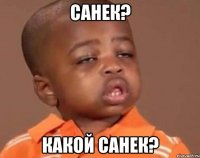 санек? какой санек?