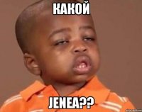 какой jenea??