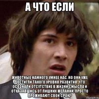 а что если животные намного умнее нас, но они уже достигли такого уровня развития, что осознали отсутствие в жизни смысла и отказавшись от лишних желаний, просто проживают свой срок?