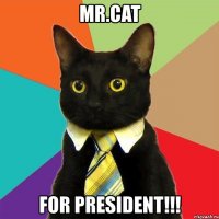 mr.cat for president!!!