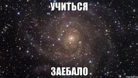 учиться заебало