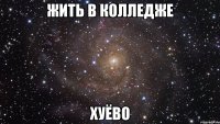 жить в колледже хуёво