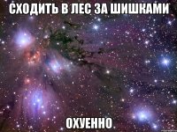 сходить в лес за шишками охуенно