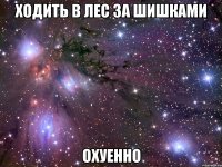 ходить в лес за шишками охуенно