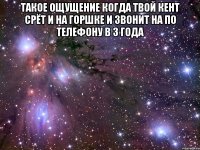 такое ощущение когда твой кент срёт и на горшке и звонит на по телефону в 3 года 