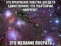 это прекрасное чувство, когда то единственное, что тебя сейчас напрягает, это желание посрать