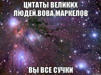 цитаты великих людей.вова маркелов вы все сучки