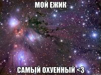 мой ежик самый охуенный <3