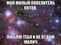 мой милый повелитель котов, люблю тебя и не отдам малич