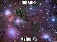 люблю мулю <3