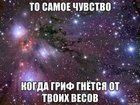 то самое чувство когда гриф гнётся от твоих весов