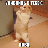 улибнись в тебе є вова