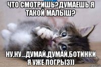 что смотришь?думаешь я такой малыш? ну,ну...думай,думай,ботинки я уже погрыз))