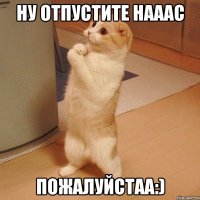 ну отпустите нааас пожалуйстаа:)