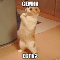 сёмки есть?