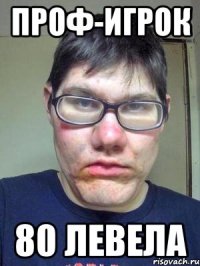 проф-игрок 80 левела