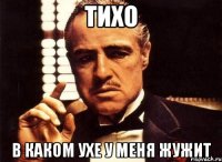 тихо в каком ухе у меня жужит