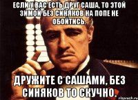 если у вас есть друг саша, то этой зимой без синяков на попе не обойтись. дружите с сашами, без синяков то скучно.