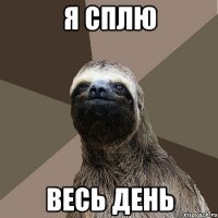 я сплю весь день