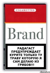 Радагаст предупреждает курите только ту траву которую я сам делаю из грибов!!!