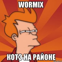 wormix котэ на районе