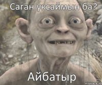 Айбатыр Саган уксаймын ба?