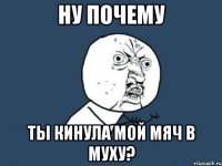 ну почему ты кинула мой мяч в муху?