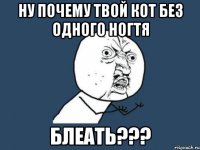 ну почему твой кот без одного ногтя блеать???