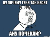 ну почему тебя так бесят слова ану почекай?