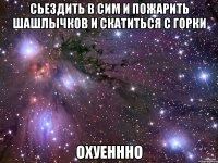 сьездить в сим и пожарить шашлычков и скатиться с горки охуеннно