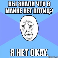 вы знали что в маине нет пптиц? я нет okay.