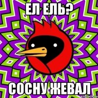 ел ель? сосну жевал