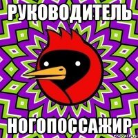 руководитель ногопоссажир