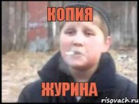 копия журина