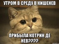 утром в среду в кишенев прибыла котрин де нев???