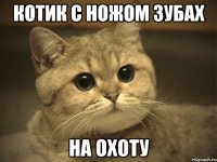 котик с ножом зубах на охоту