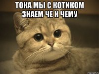 тока мы с котиком знаем че к чему 