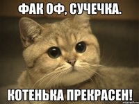 фак оф, сучечка. котенька прекрасен!