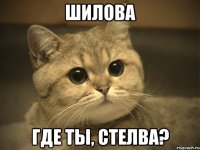 шилова где ты, стелва?