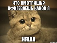 что смотришь? офигеваешь какой я няша