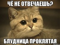 чё не отвечаешь? блудница проклятая