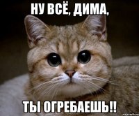 ну всё, дима, ты огребаешь!!