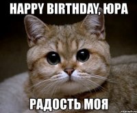 happy birthday, юра радость моя