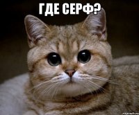 где серф? 